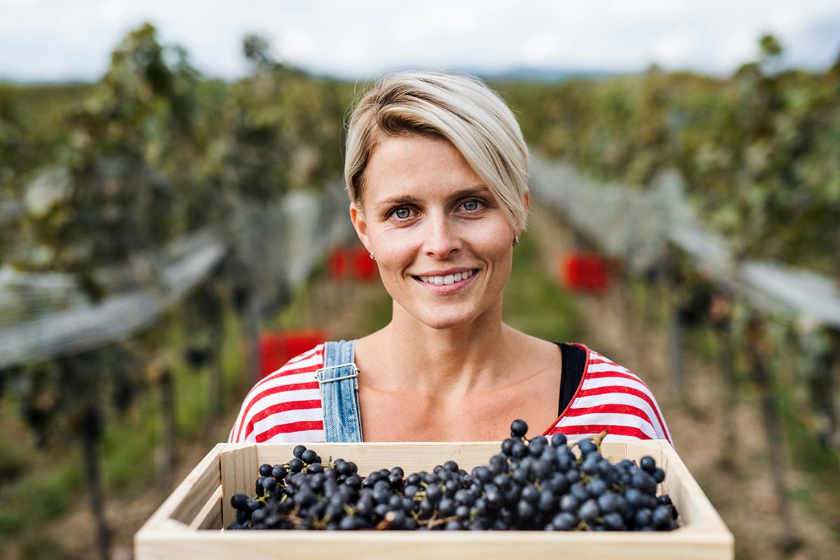 grape farmer